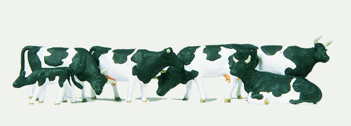 Animaux : 6 vaches noir/blanc
