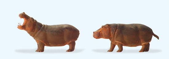 2 hippopotames