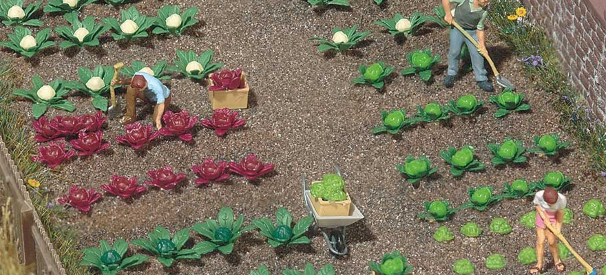 6 plants de tomates avec tuteurs‚ et 6 plants de concombres‚ haut.25mm‚ en kit