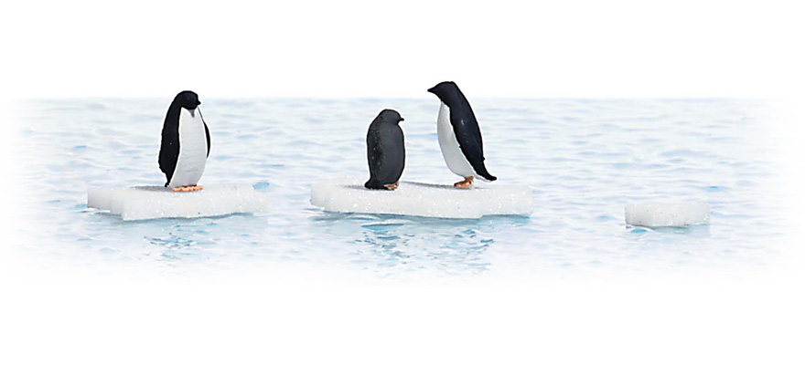 3 pingouins avrec 3 plaques de glace sur feuille deau (210 x 148 mm)