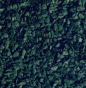 Feuillage‚ couleur vert-foncé ‚ sachet de 50 gr