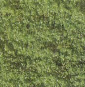 Flocage ‚‚ couleur vert clair ‚ sachet de 20 gr