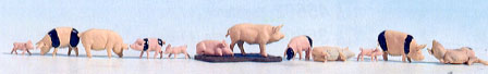 12 cochons toutes tailles avec lisier