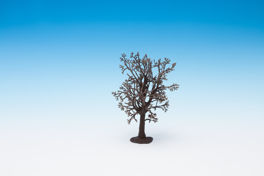 Arbre htre effeuill haut. 13cm