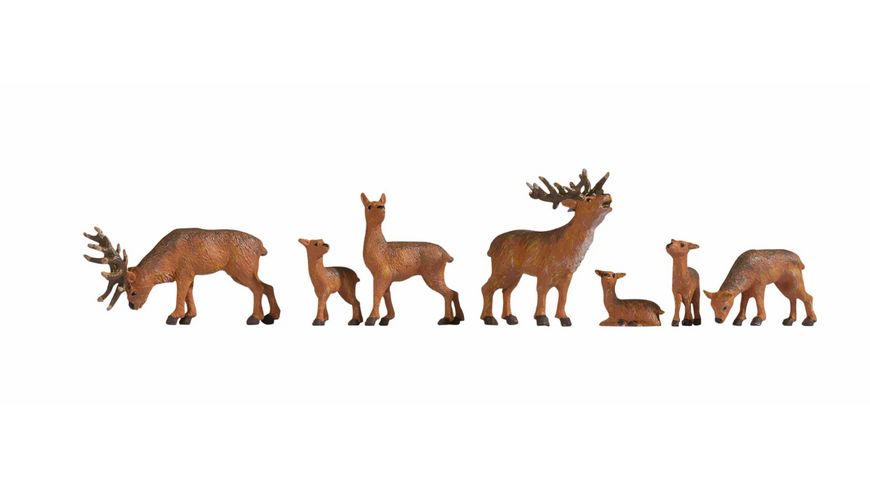 7 cerfs