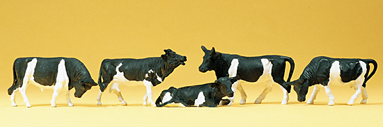 5 vaches dont 1 couche