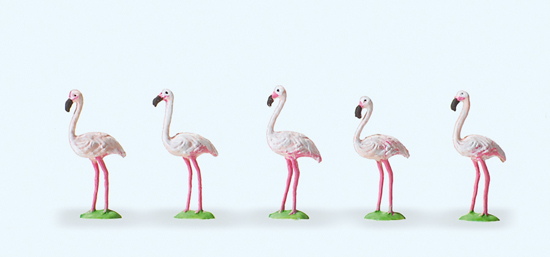 5 flamants roses