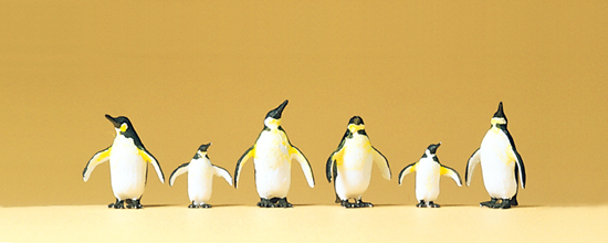 Animaux de cirque : 6 pingouins