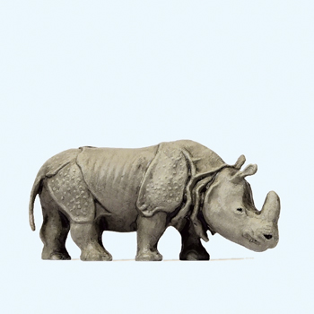 Rhinocros Indien tte baisse