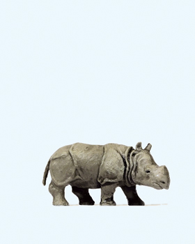 Jeune Rhinocros Indien