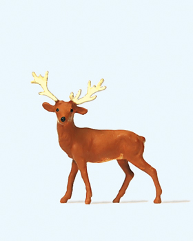 Cerf avec de magnifiques bois