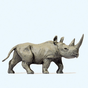 Rhinocros africain