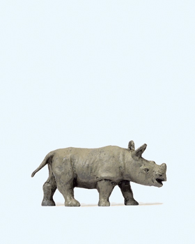 Petit rhinocros