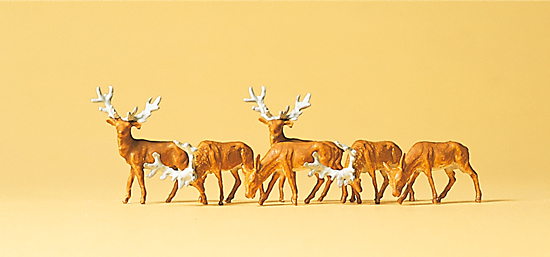 6 Cerfs